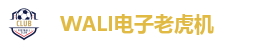 WALI电子老虎机